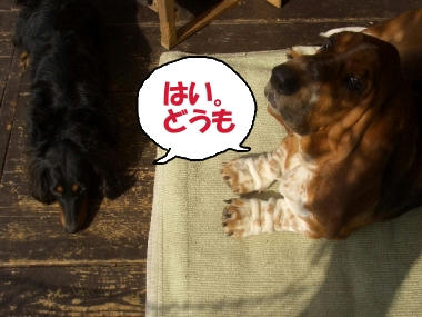 恐い顔だね～・・・.JPG