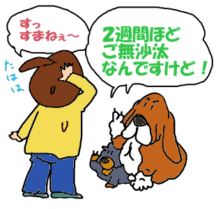 たはは～.gif