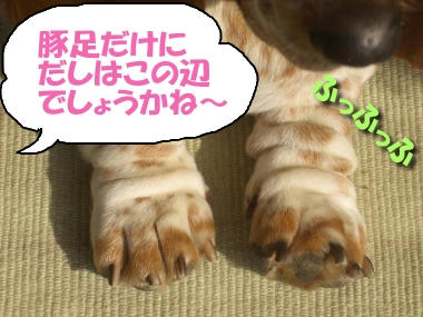 だしの素.JPG