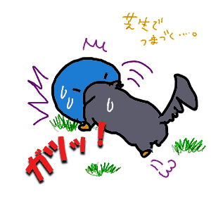 7fb945e6.gif