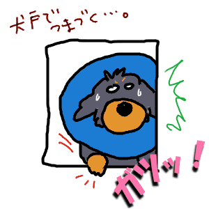 86783137.gif
