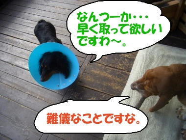 もう少し.JPG