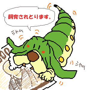 金食い虫.gif