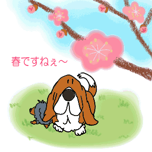 春るるる.gif