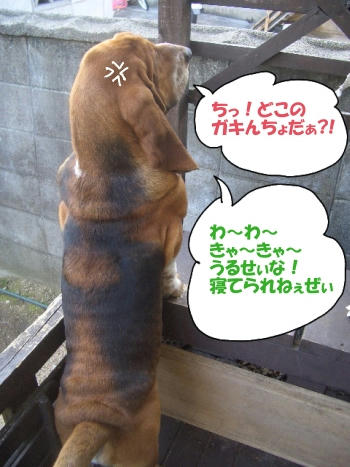 気になる男.JPG