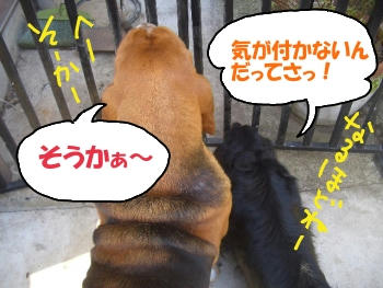 反省.JPG