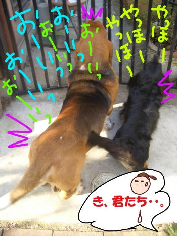 君たち（・ω・；）（；・ω・）.JPG