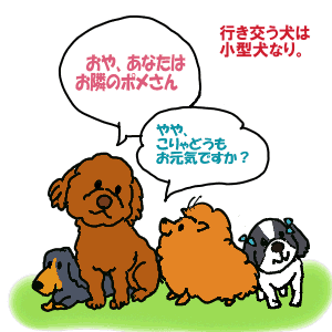 はびこる小型犬.gif