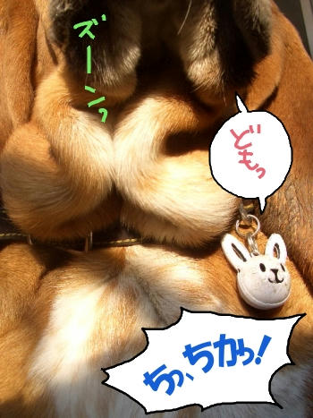 きっとこんな感じ？.JPG