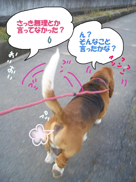 楽しく散歩.JPG