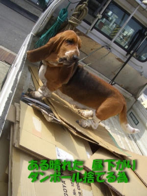 荷馬車がゴトゴト・・・.JPG
