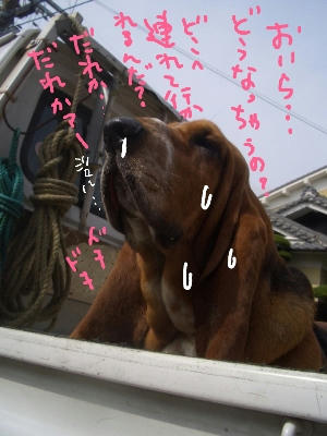旅立ちの時.JPG