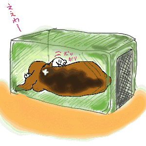 優雅にドライブ.gif