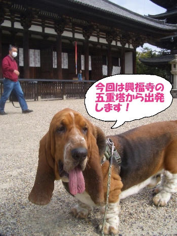 スタート.JPG