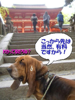 有料ですから.JPG