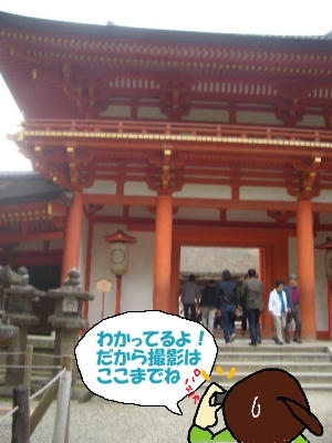 春日大社本堂入り口にて.JPG