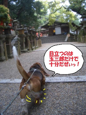 揺れる玉三郎.JPG