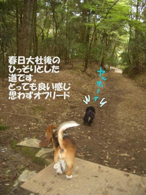 抜け道.JPG