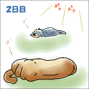 ２日目.GIF