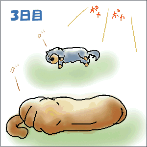 ３日目.GIF