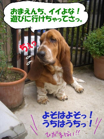 ひがみっ子.JPG