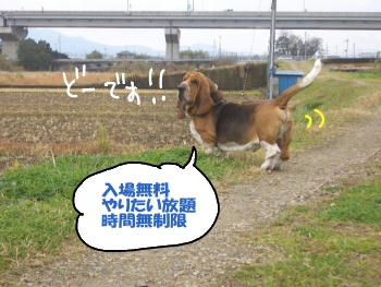 どう？.JPG