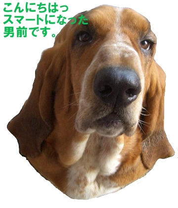 そうさ、男前.JPG