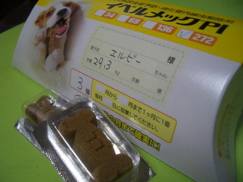 フィラリア予防薬.JPG
