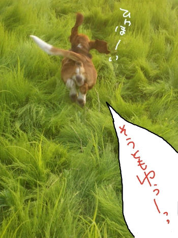 そうともゆー.JPG