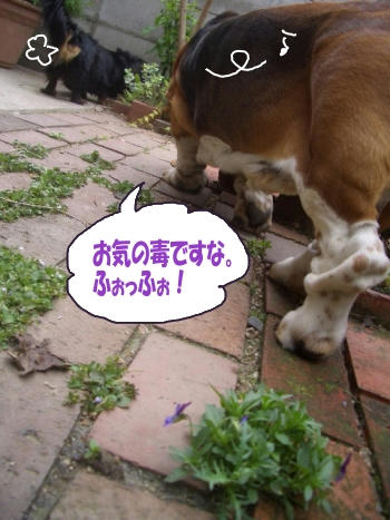 3df45be4.JPG