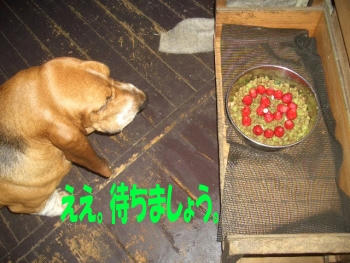 5622bdd6.JPG