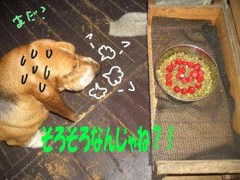 36b6bbbb.JPG