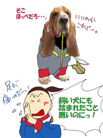 オヤジにもぶたれたことないのに.JPG