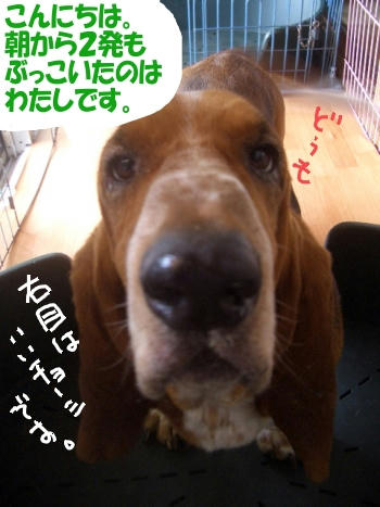 ぶっこきおとこ.JPG