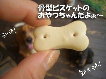 おやつちゃんだよぉ～ん.JPG