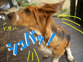 シュバっとな！.JPG