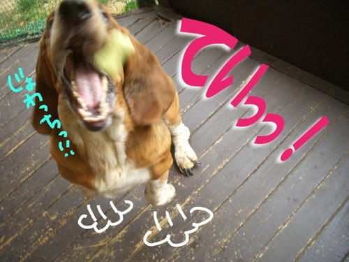 じょわっち.JPG