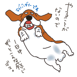 12-2.gif