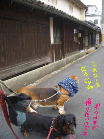 出発します.JPG