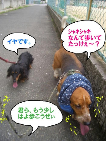 ズルズル.JPG