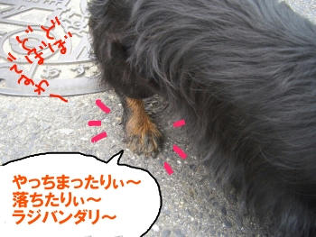 ありがとう.JPG