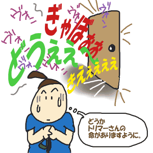 1256.gif