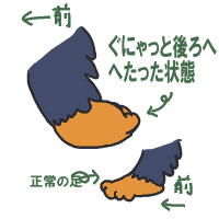 症状.gif