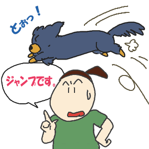 確信.gif