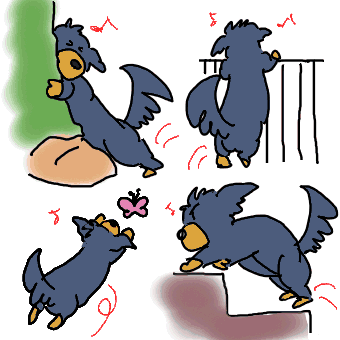 原因.gif