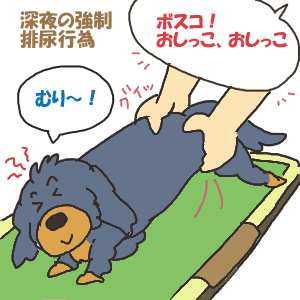 排尿促進行為.gif