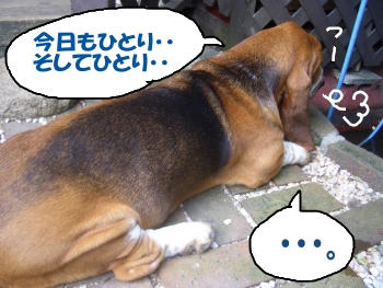 さみしい男.JPG