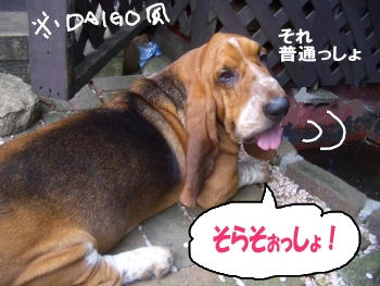 開き直る男.JPG