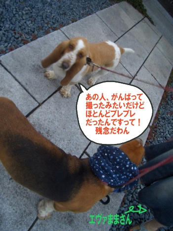がんばったんですけどねぇ。.JPG