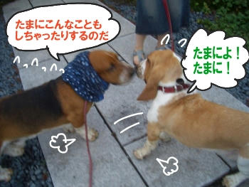 確かにっ！.JPG
